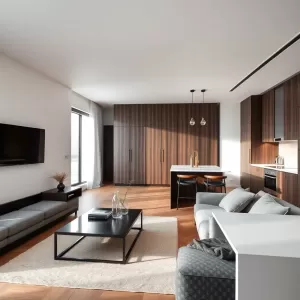 Salon z aneksem 25m2